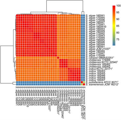 Prevalence and molecular characteristics of Shewanella infection in diarrhea patients in Beijing, China 2017–2019